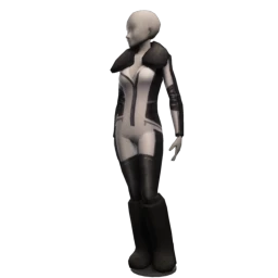 Bionic Polar Capital Outfit