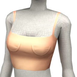 Bionic Alton Crop Top