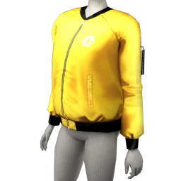 Blasterjaxx Bomber Jacket (Gold)