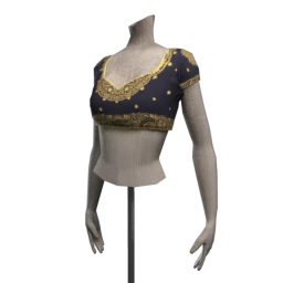 Bollywood Star Crop Top