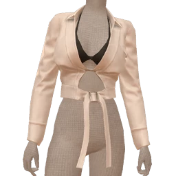 Chiara Good To Go Blazer