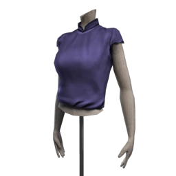 Contemporary Cheongsam Top