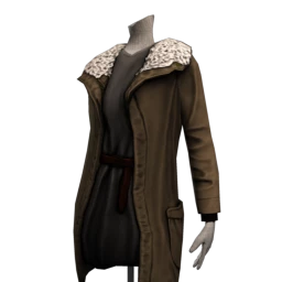 Parka and Belted Dress 