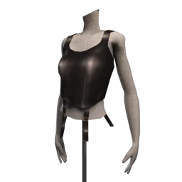 Cloud Nine Night Rider Corset