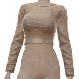 Cloud Nine Silver Leather Sparkle Sheer Cropped Top