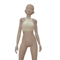 Nova Subtle Shine Crop Top