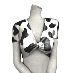 Cloud Nine Texas Crop Top