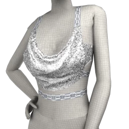 SSF Made to Shine Top