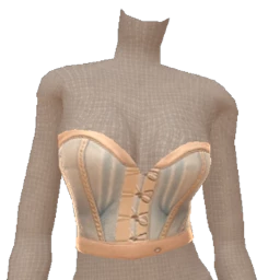 Cloud Nine Denim And Tan Corset Top