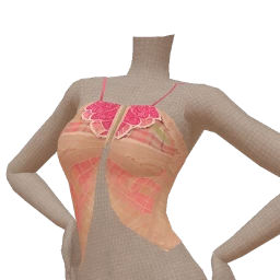 Cloud Nine Checked Lace Top