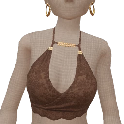 Cloud Nine Brown And Gold Lace Top