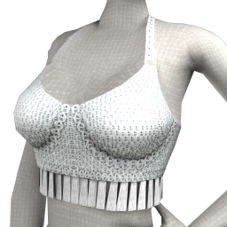 Cloud Nine Fringe Perfect Crop Top