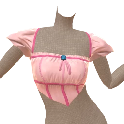 Cosmos Pink Princess Corset Top