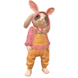 Cosmos DJ Hoppy Beats Costume - Country Style