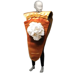 Cosmos Pumpkin Pie Costume