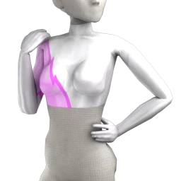 Cosmos Pink Lightning Top