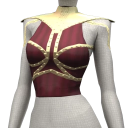 Cosmos Fair Judge Top