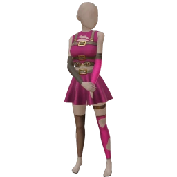 Cosmos Pink Warrior Costume
