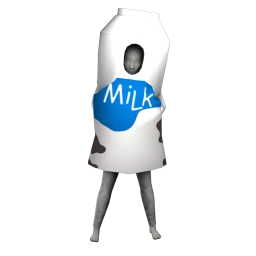 Cosmos Milk Carton Costume