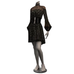 Victoriana Gothic Belted Lace Dress