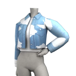 Cruz Airborne Denim Jacket