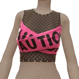Delirious Warning Mesh Crop Top