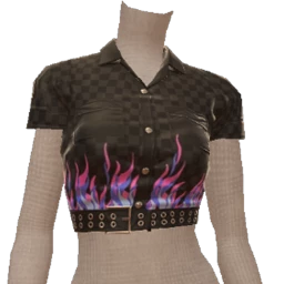 Delirious Check Flame Cropped Shirt