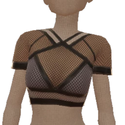 Delirious Translucid Panel Crop Top