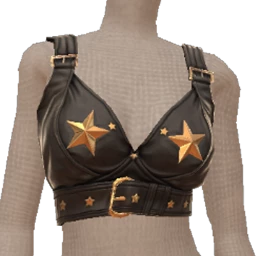 Delirious Gold Star Leather Crop Top