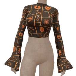 Delirious Cropped Autumn Top With Flare Sleeves