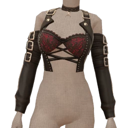 Delirious Black Leather And Red Lace Combo Top