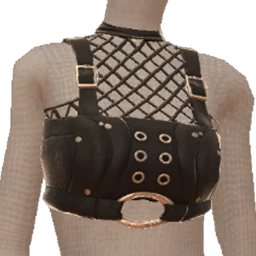 Delirious Black Mesh Buckle Top