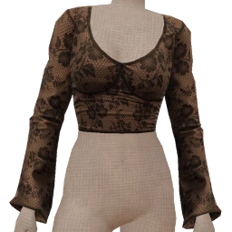 Delirious Veiled Edge Sheer Lace Cropped Top