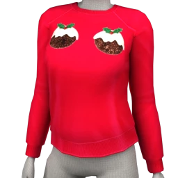 Foal Christmas Pudding Sweater