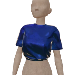 USAesthetics Metallic Blue Crop Top