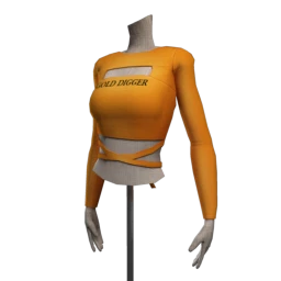 Drop Science "Gold Digger" Tie Up Crop Top