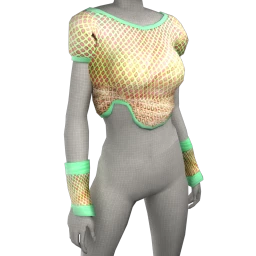 Drop Science Pineapple Mesh Top