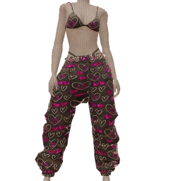 Drop Science Baggy Pants And Bra Outfit