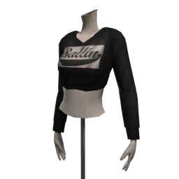 Drop Science Ballin' Crop Hoodie - Black