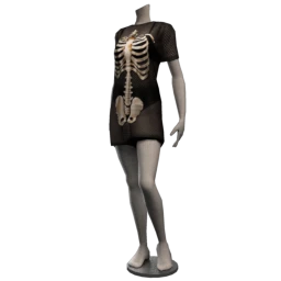 Foal X-Ray Vision Mesh Dress