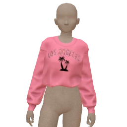 Foal Los Angeles Sweater