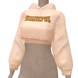 Foal Thankful Sweater