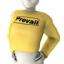 Exclusive Branded Sweatshirt - Prevail
