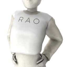 Exclusive Branded Sweatshirt - RAO