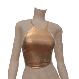 Cloud Nine Glittering Shimmer Gilver Crop Top