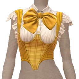 Front Row Zesty Chick Corset And Shirt