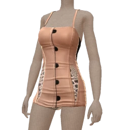 Front Row Animal Print Corset Dress