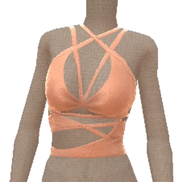 Front Row Leather Crop Top