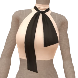 Front Row Monochrome Bow Neck Top