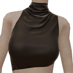 Front Row Sleek High-Neck Silk Top